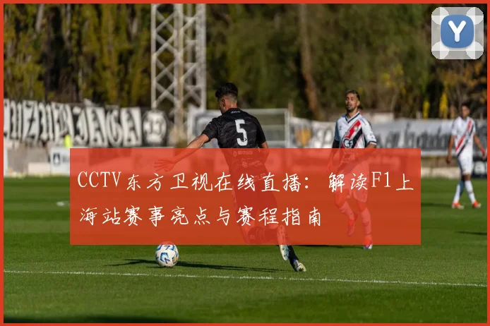 CCTV东方卫视在线直播:解读F1上海站赛事亮点与赛程指南