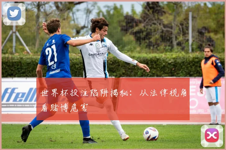 世界杯投注陷阱揭秘:从法律视角看赌博危害