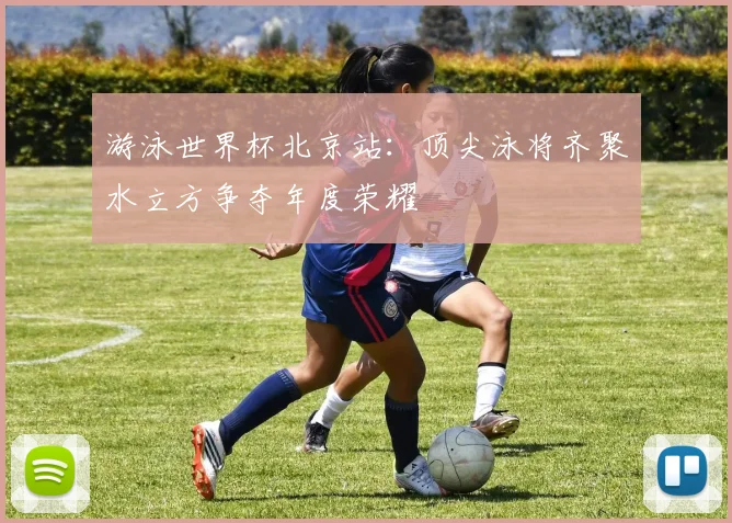 游泳世界杯北京站:顶尖泳将齐聚水立方争夺年度荣耀