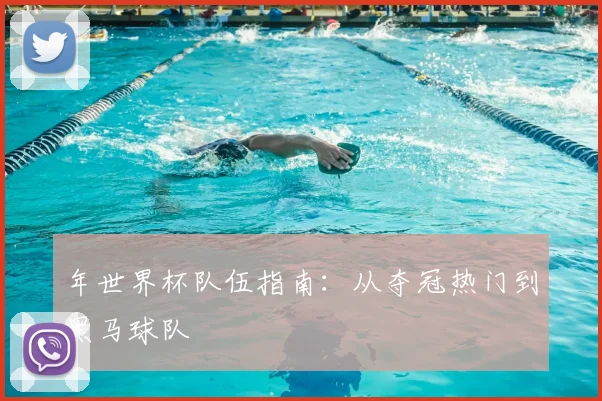 年世界杯队伍指南：从夺冠热门到黑马球队