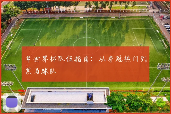 年世界杯队伍指南：从夺冠热门到黑马球队