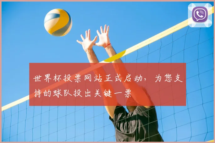 世界杯投票网站正式启动,为您支持的球队投出关键一票