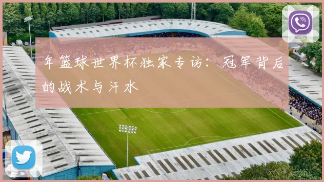 年篮球世界杯独家专访:冠军背后的战术与汗水